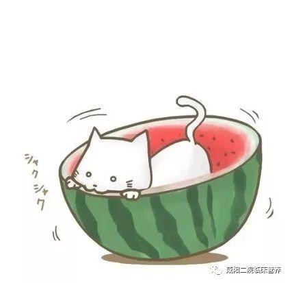 吃瓜群众图片可爱头像动漫,动漫风吃瓜群众头像大揭秘  第2张