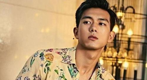 爱豆吃瓜娱乐圈李现,娱乐圈吃瓜达人，揭秘爱豆背后的故事  第2张