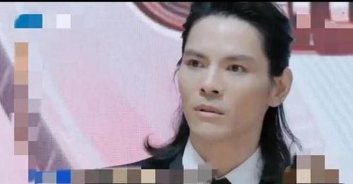 娱乐圈吃瓜爆料猪头特效,猪头特效背后的吃瓜爆料风云  第3张