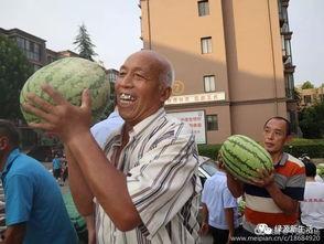 大型吃瓜现场图,揭秘娱乐圈幕后风云  第2张