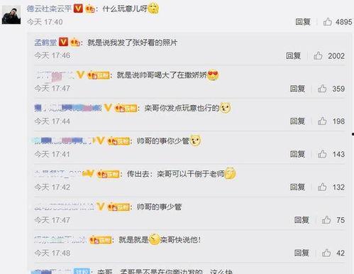 娱乐吃瓜君评论区临沂,娱乐吃瓜君的瓜田盛宴  第2张